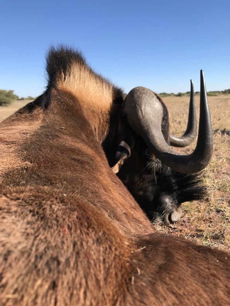 Namibia_2018_Bilder (389)