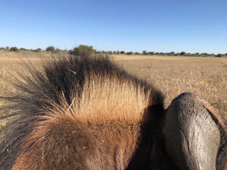 Namibia_2018_Bilder (453)