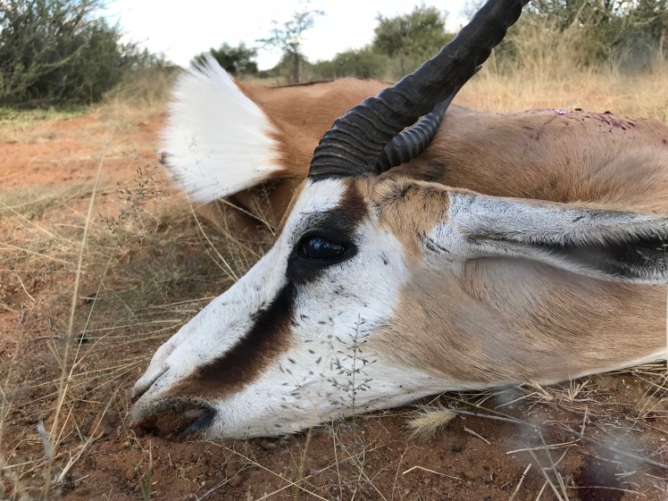 Namibia_2018_Bilder (126)