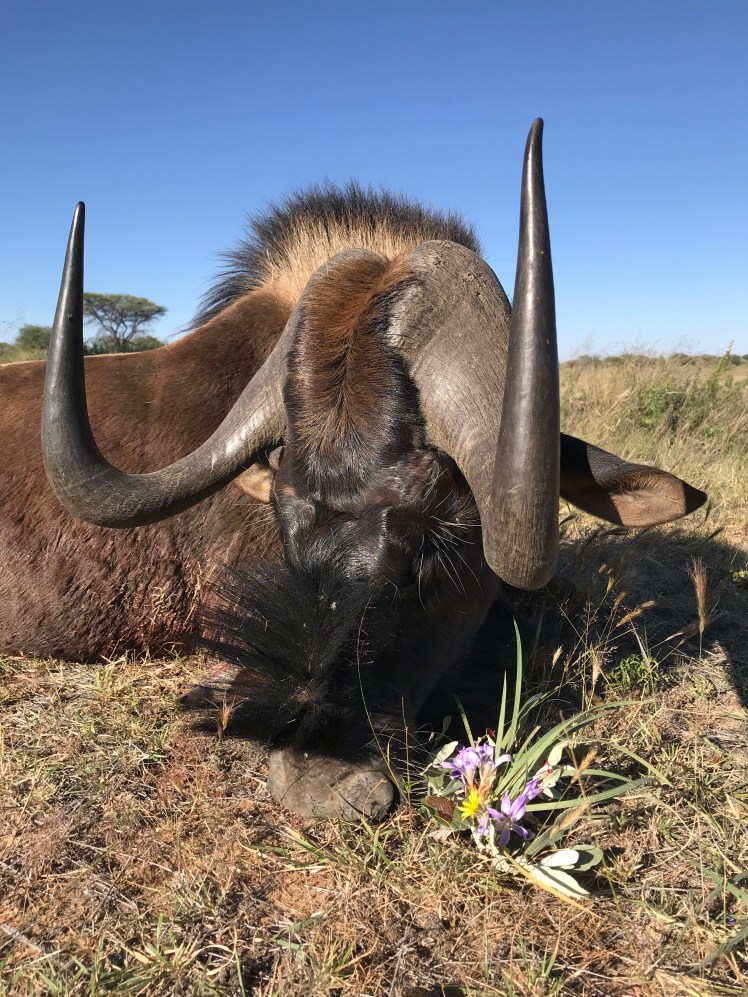 Namibia_2018_Bilder (393)