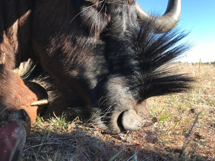 Namibia_2018_Bilder (455)