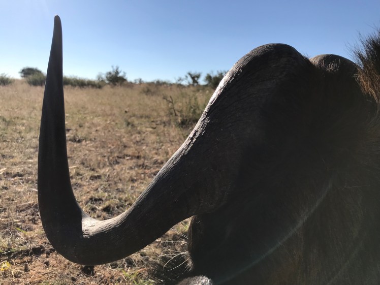 Namibia_2018_Bilder (448)