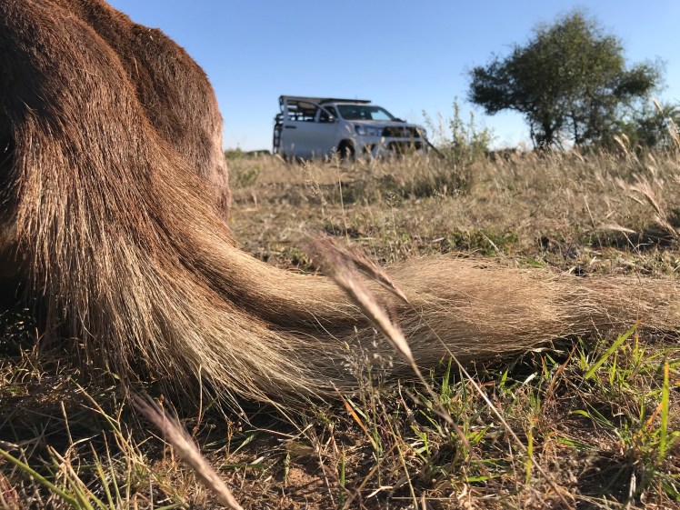 Namibia_2018_Bilder (458)