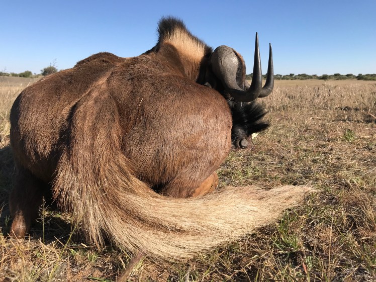 Namibia_2018_Bilder (391)