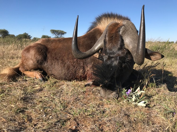 Namibia_2018_Bilder (385)