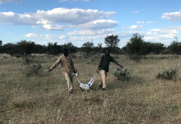 Namibia_2018_Bilder (123)