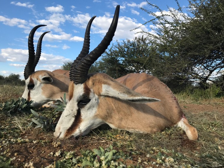 Namibia_2018_Bilder (160)